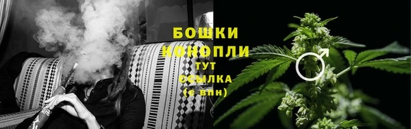 твердый Абаза