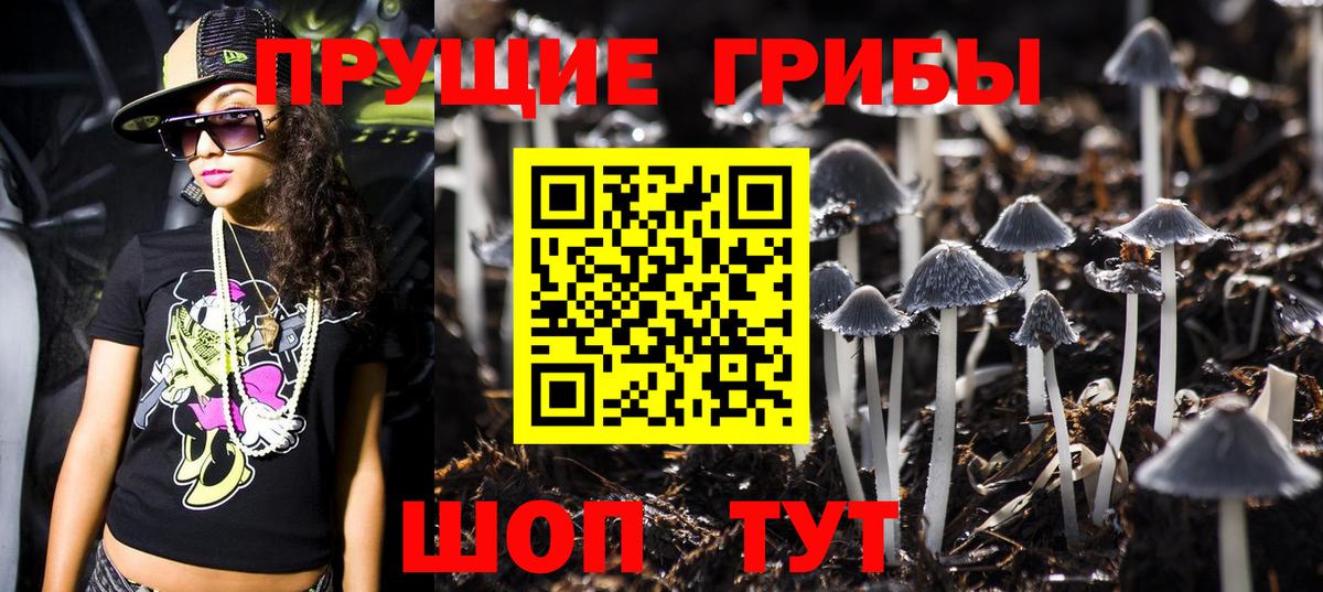 Галлюциногенные грибы мухоморы  Галлюциногенные грибы Psilocybine cubensis  Вход с VPN  Екатеринбург 